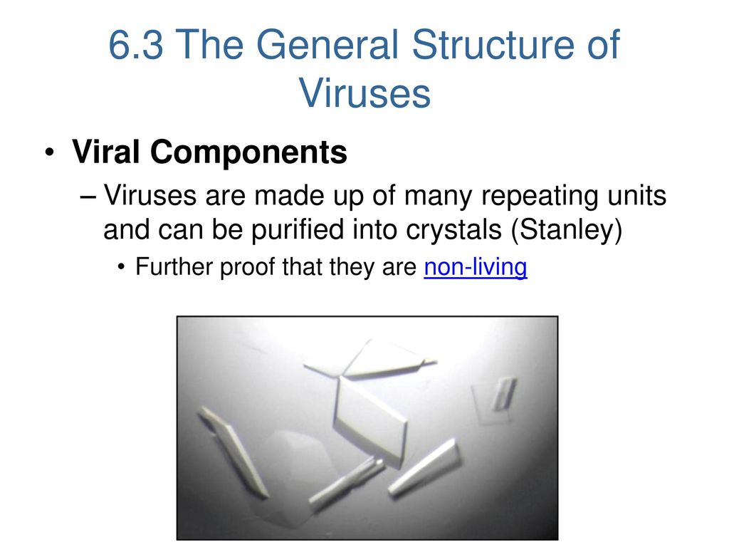 Dissertation computer viruses alive